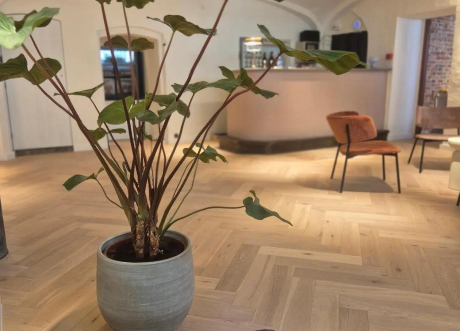 ברוז' Hotel Lucca